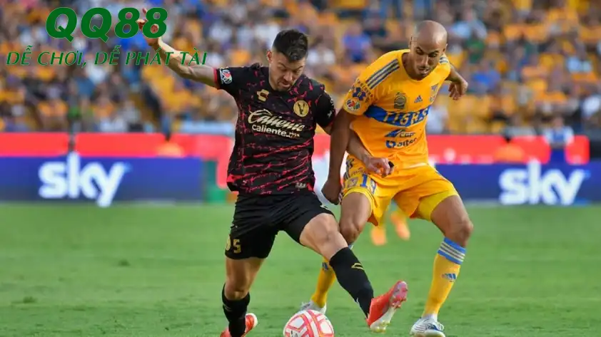 Club Tijuana sẽ có trận đấu khó khăn trươsc Tigres UANL. (Ảnh: Internet) Club Tijuana sẽ có trận đấu khó khăn trươsc Tigres UANL. (Ảnh: Internet)